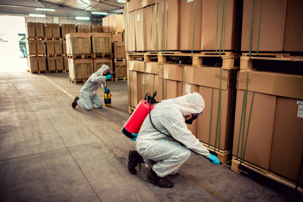 Best Best Pest Control Companies  in Waldo, AR