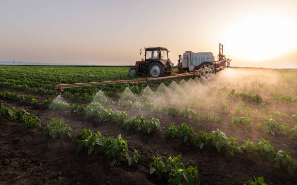 Best Mosquito Control Services  in Waldo, AR