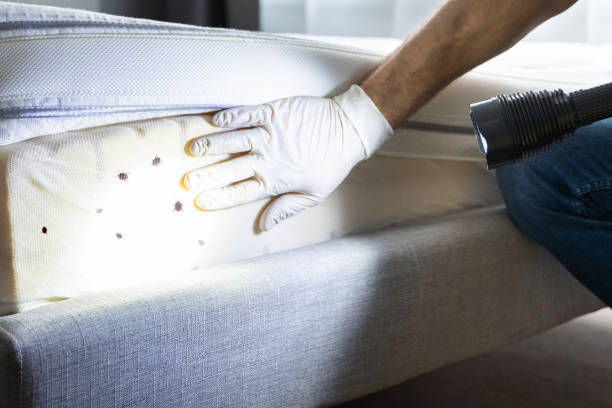 Best Pest Removal Services  in Waldo, AR