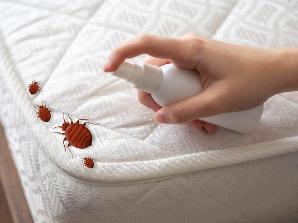 Best Commercial Pest Control Services  in Waldo, AR